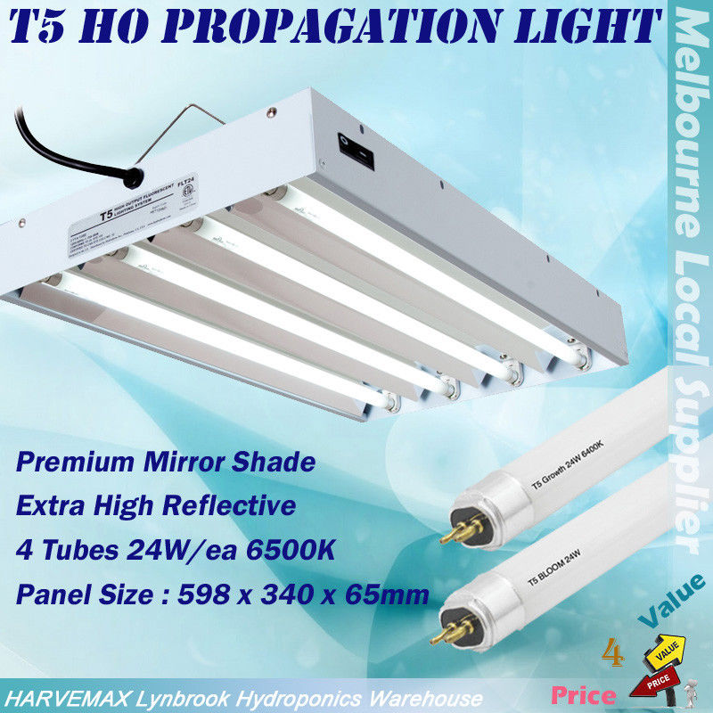 T5 propagation light