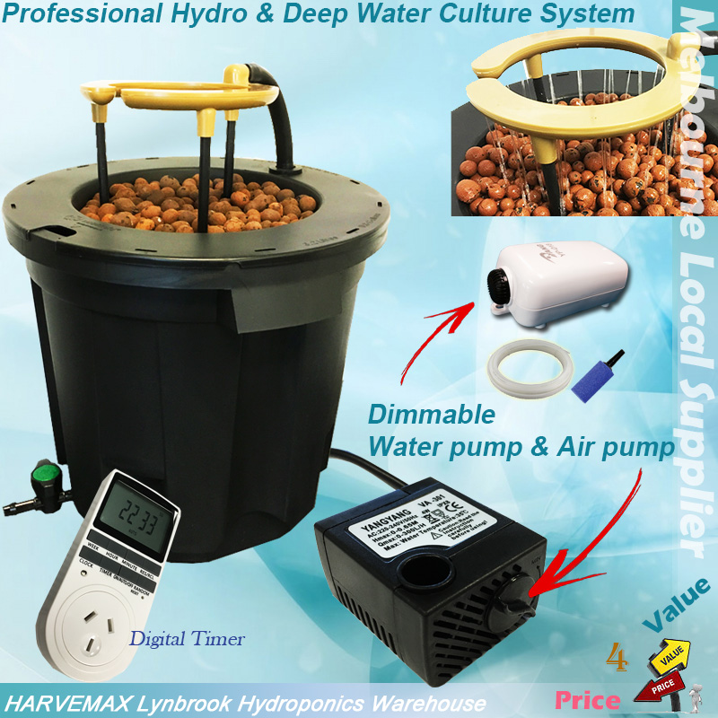 hydroponics DWC system