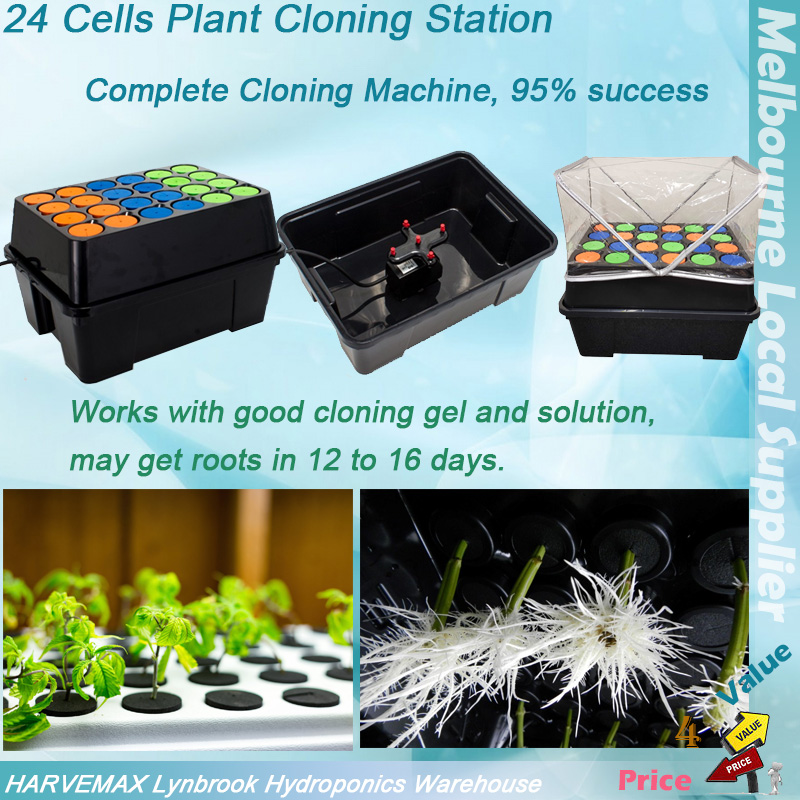 hydroponics cloning system